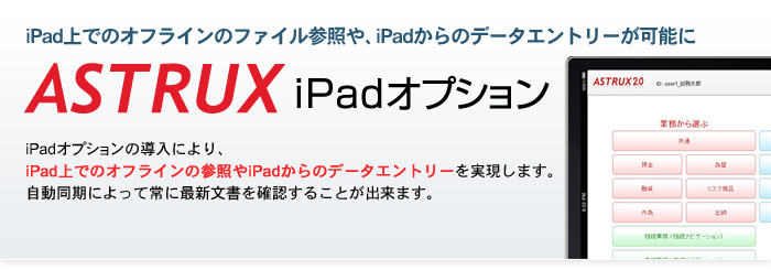 iPad上でのオフラインのファイル参照や、iPadからのデータエントリーが可能に「iPadオプション」